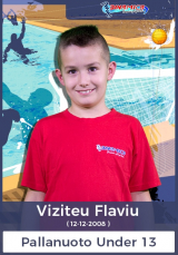 Viziteu-Flaviu